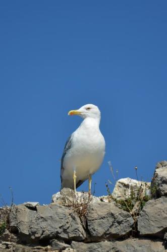 20120904 dsc 0235 300dpirvb 1200