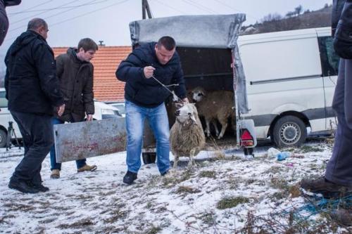 20170123 kosovo20161erjour16