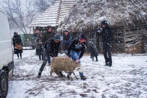 20170123 kosovo20161erjour23