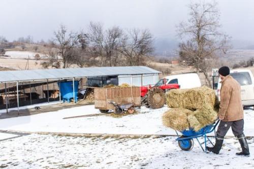 20170123 kosovo20161erjour42