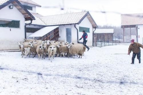 20170123 kosovo20161erjour44