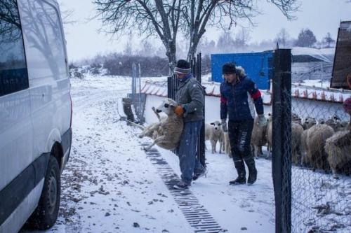 20170123 kosovo20161erjour45