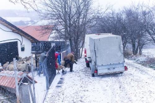 20170123 kosovo20161erjour46