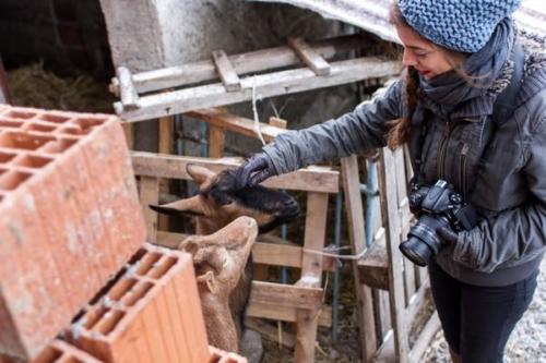 20170123 kosovo20162ejour27