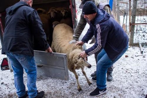 20170123 kosovo20162ejour29