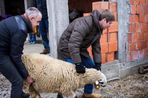 20170123 kosovo20162ejour31