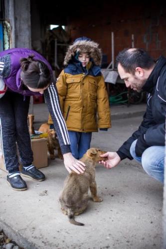 20170123 kosovo20162ejour33