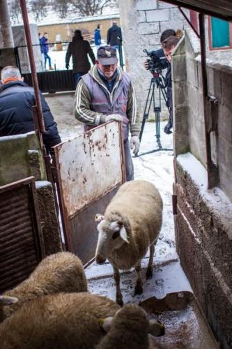 20170123 kosovo20162ejour35