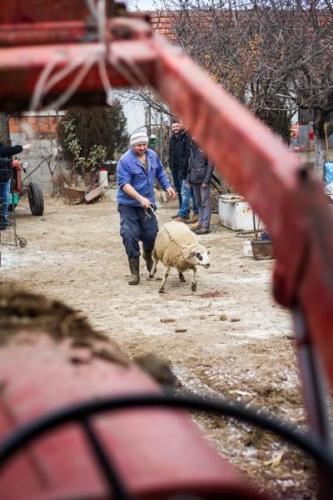 20170123 kosovo20162ejour65